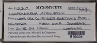 Image Associated With the Occurence